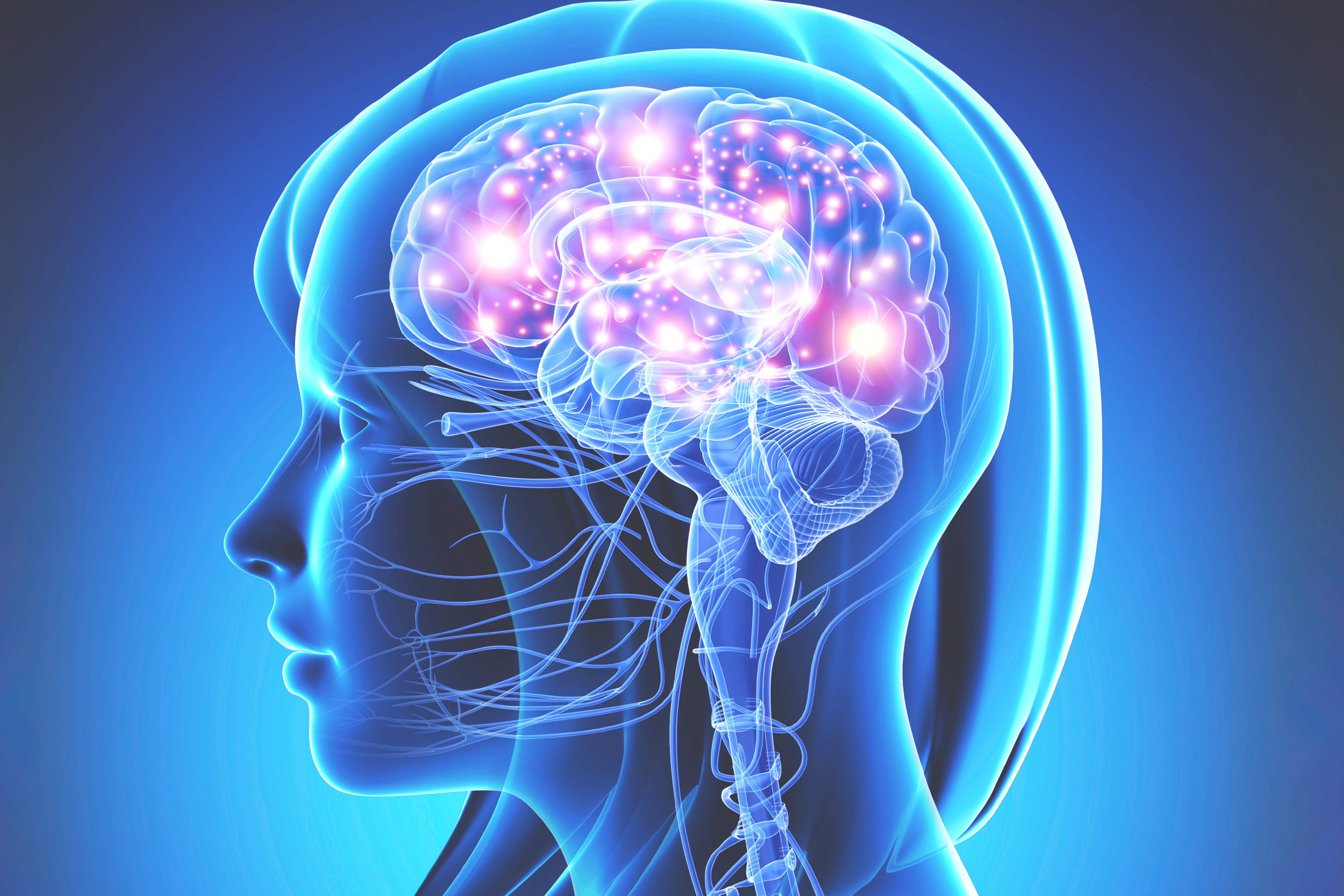 Article 4 - Does Neuroscience article Visual