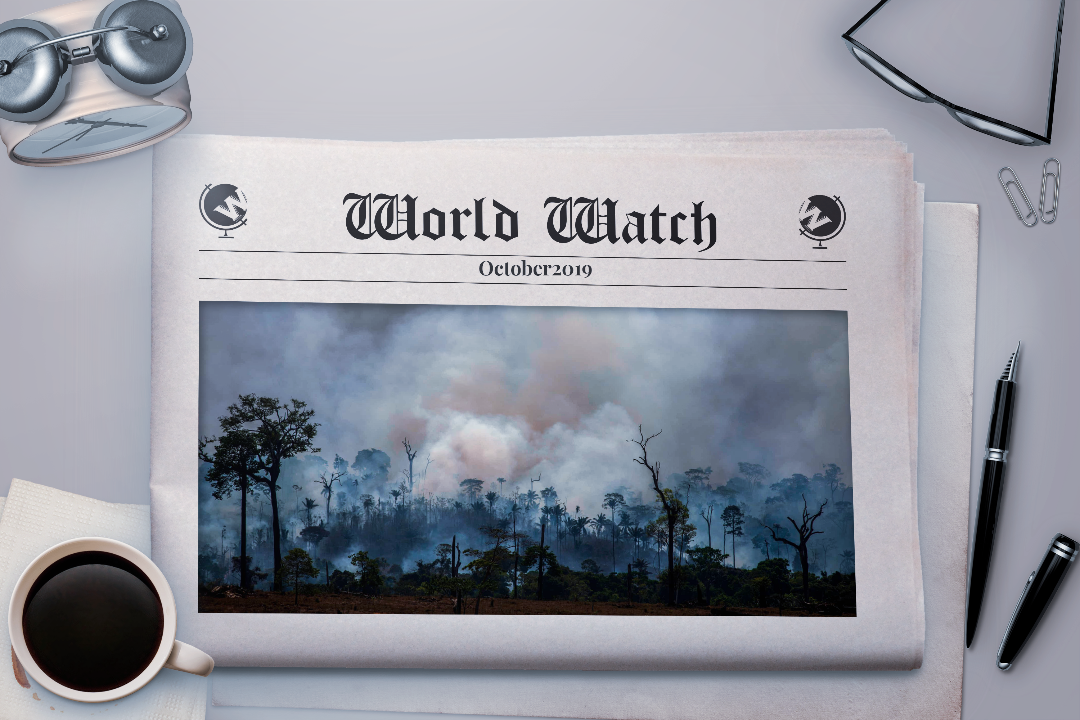 WorldWatchCover copy