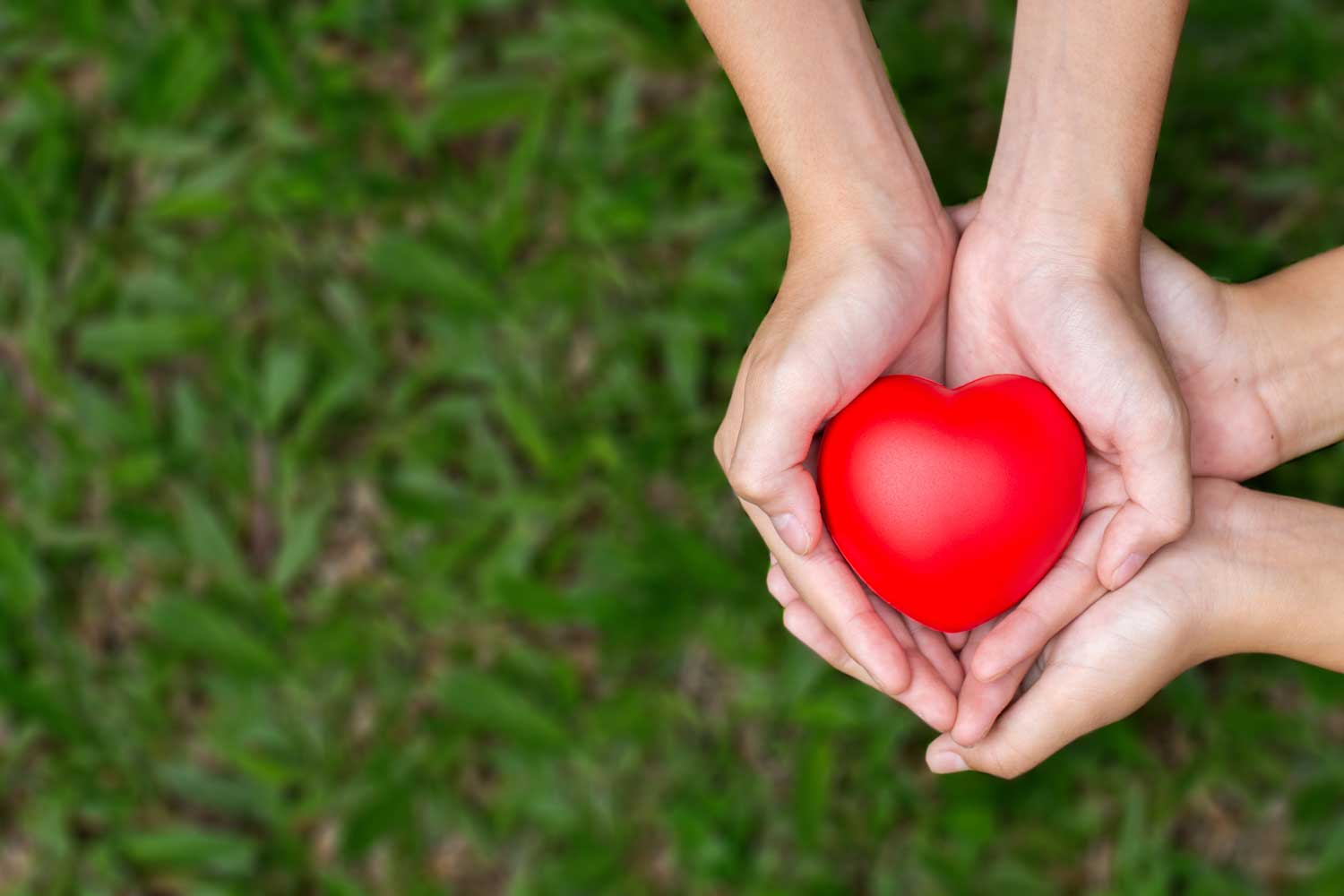 holding-heart