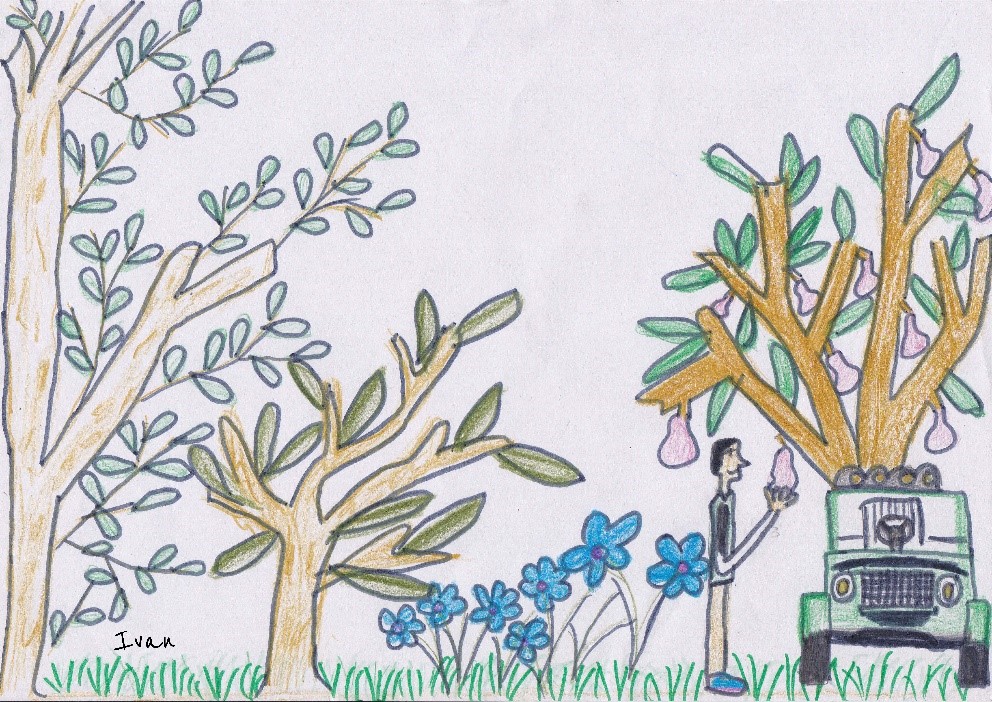 Drawing