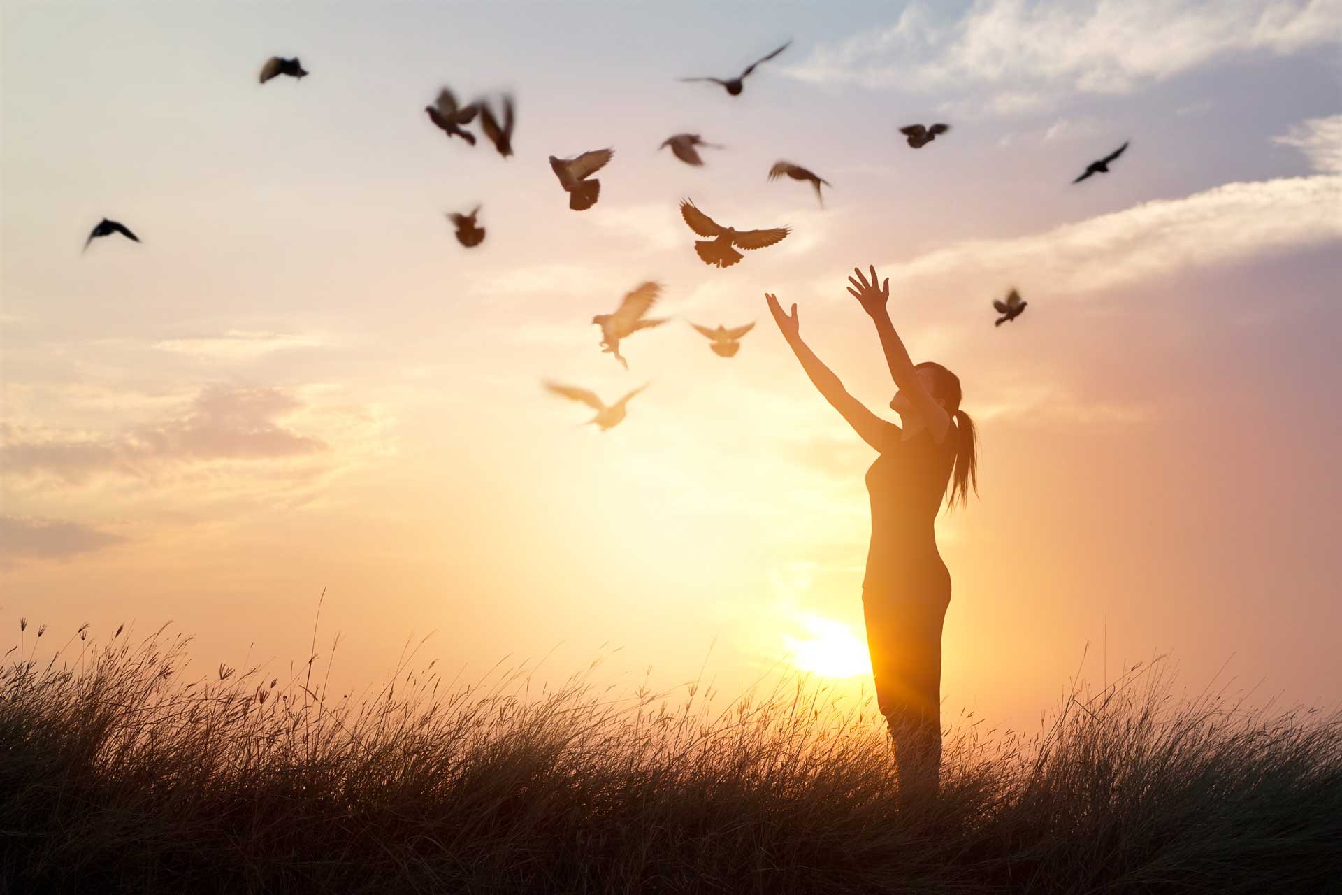 woman-praying-free-birds-nature-sunset-background