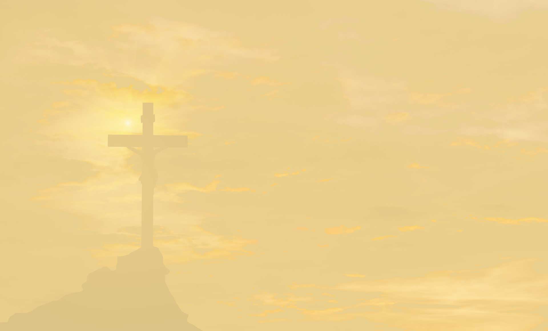 cross-2