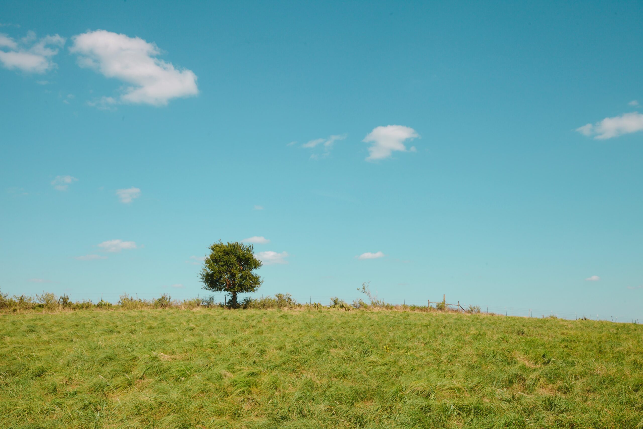 matthew-t-rader-joG-9kQTlVk-unsplash-scaled